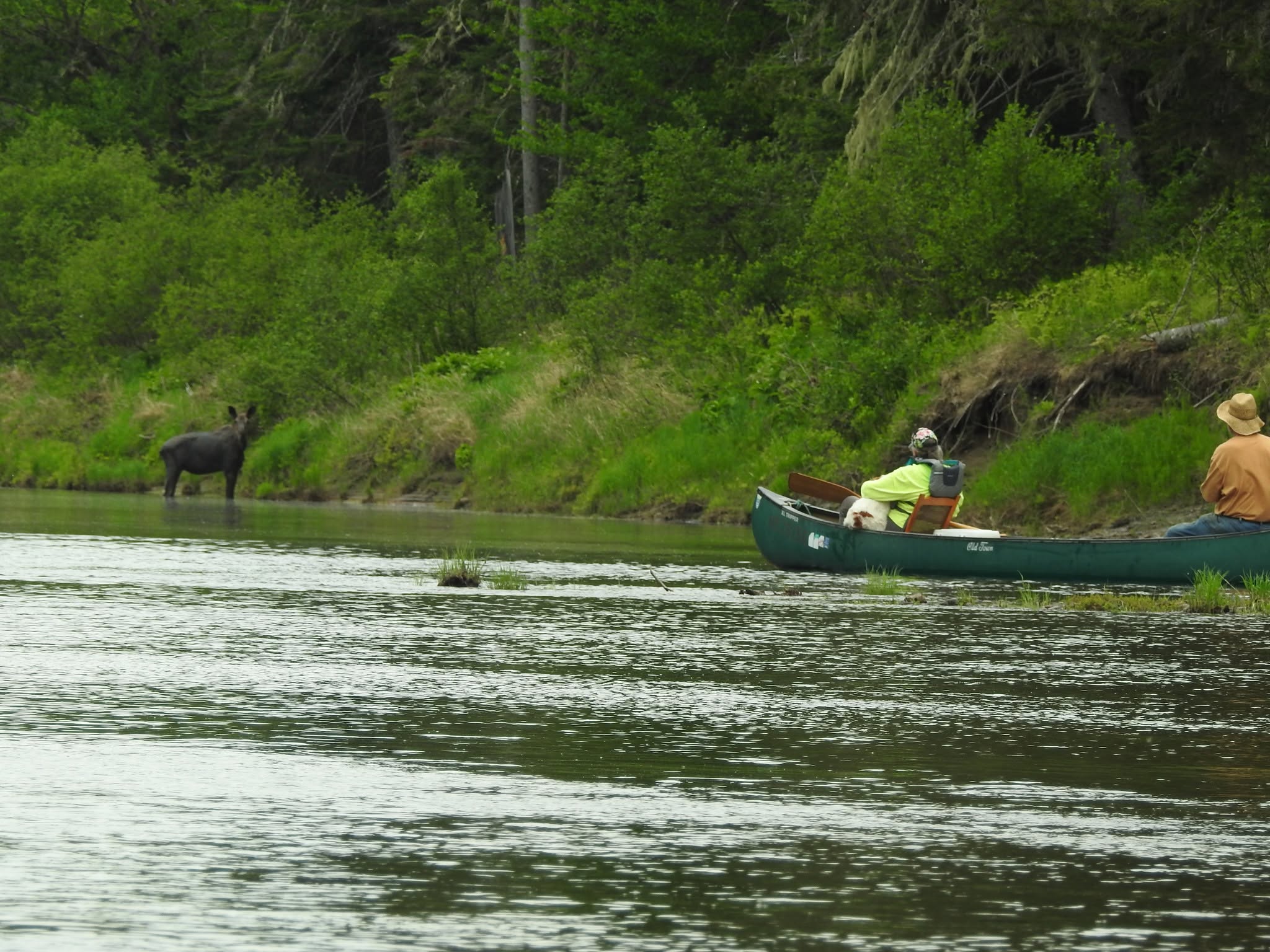Community members paddling the Aroostook River.